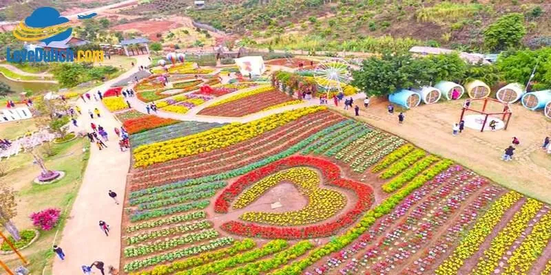 Mộc Châu khoe sắc hoa ở mọi thời điểm trong năm