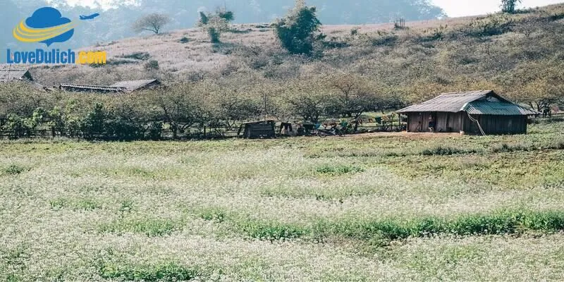 Bản Pa Phách với những nét đẹp văn hóa truyền thống của người Mông