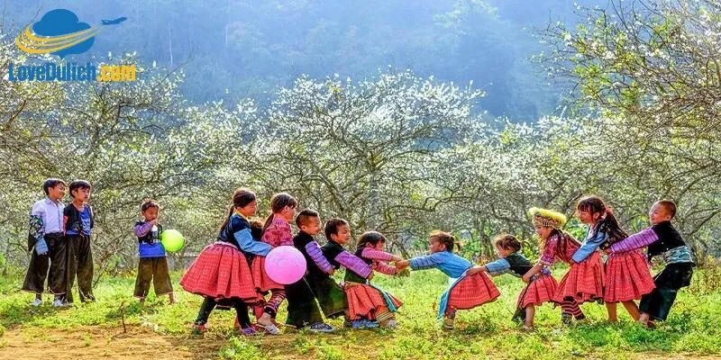 Mộc Châu là điểm đến lý tưởng cho những ai muốn trải nghiệm không khí lễ hội